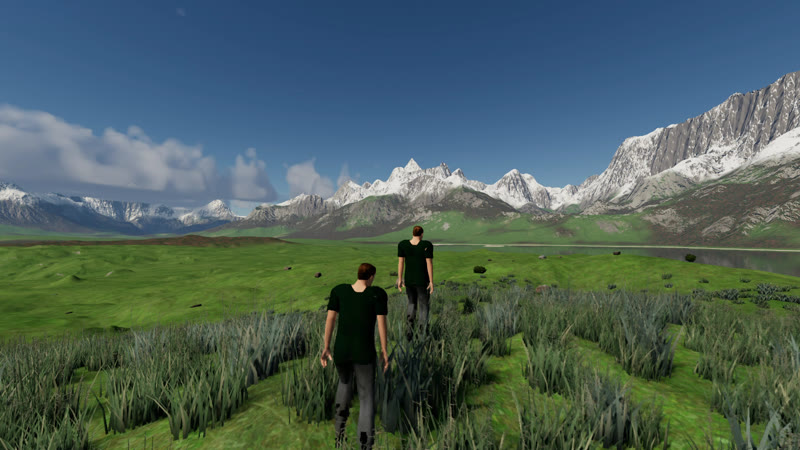 Two people walking through a meadow toward snowy mountains and a lake in Endless Wilds 2
